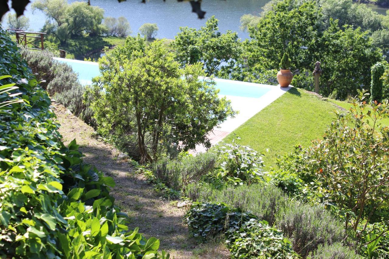 Вілла "Bouca Drigues" Casa Antiga De Pedra Com Piscina E Vista Rio Амаранте Екстер'єр фото
